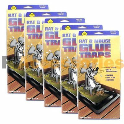 Pack Of 20 Disposable Glue Trap For Mice Rats Mouse Super Stick Tray Made In Usa